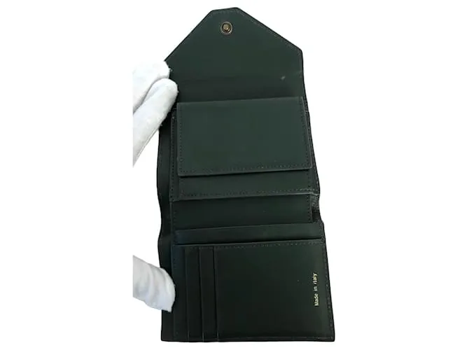 Cartera Céline en piel de becerro lisa tricolor verde 